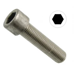 Vis 6 Pans Inox A2 Vis Métaux Tête Cyl. Six Pans Creux Inox A2 M5x20 Acton 1233300
