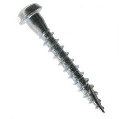 Vis à Bois Tête Ronde Zinguée Vis à Bois Tête Torx Acier Blanc 5.0x40 Simpson Strong-Tie CSA5.0X40