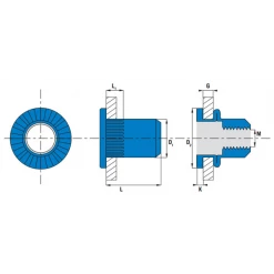 Insert Taraudé Et écrou Aveugle Scell-It Ecrou Aveugle Cranté Acier Tête Plate Ø 08-30 : TCD0830 -Visserie boulonnerie rivet Soldes tcd